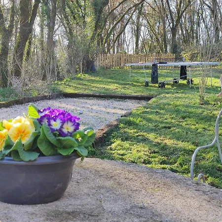 Tatil Evi La Ferme Aux Hibiscus